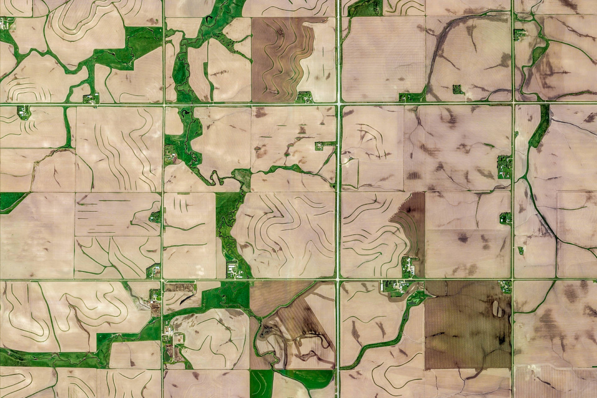 Google Earth Holstein Fields Stati Uniti Sfondo