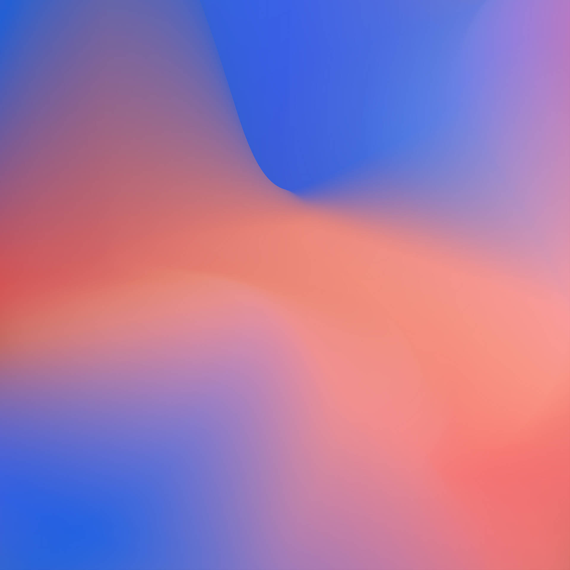 Google Pink And Blue Wallpaper