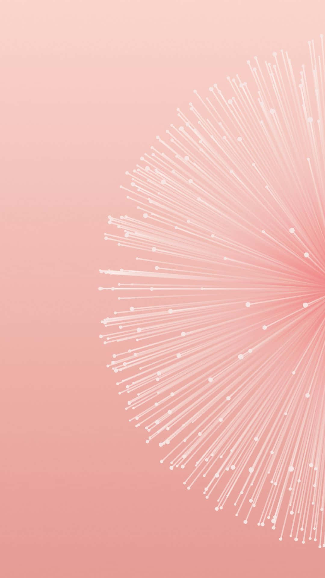 A Pink Background With A Dandelion Flower Wallpaper