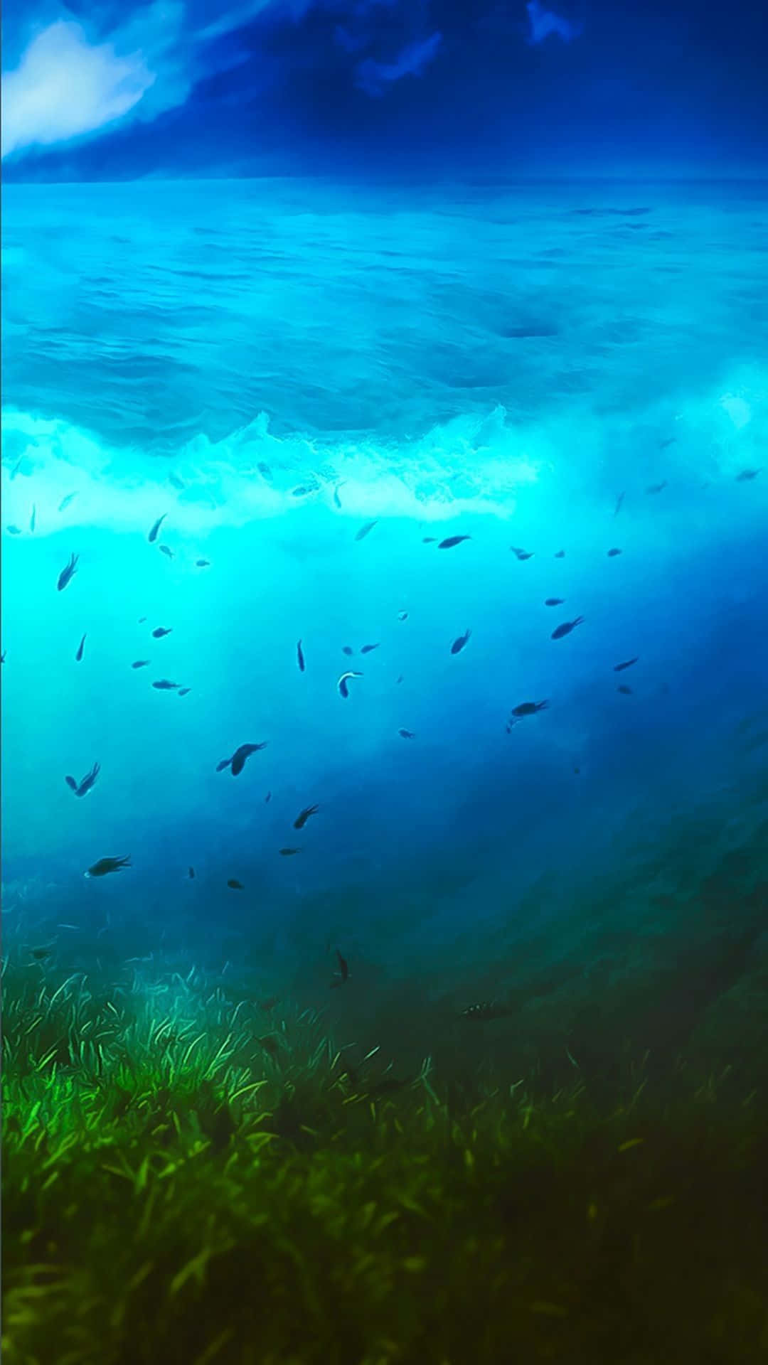 Google Pixel Water Ocean Fish Wallpaper