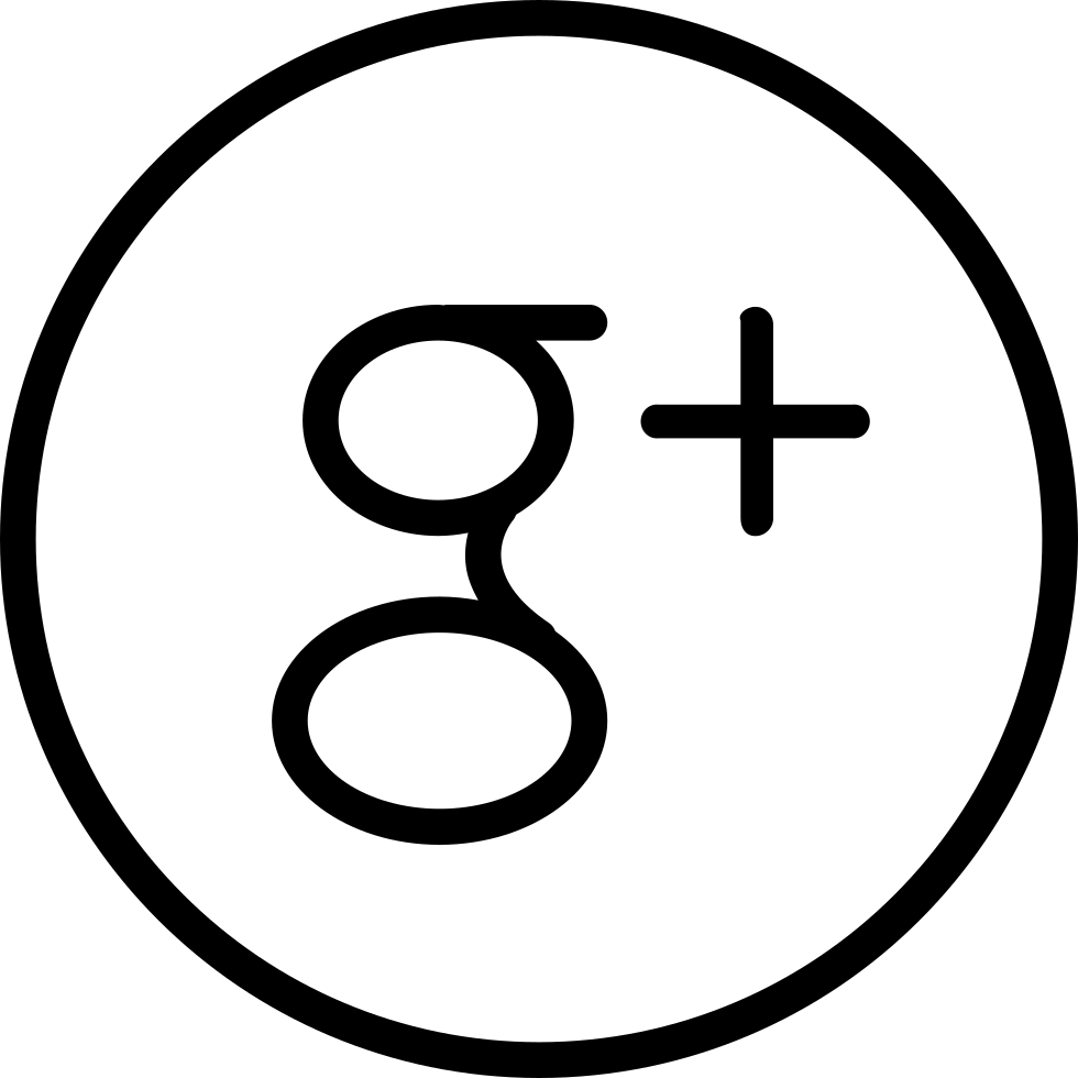 Download Google Plus Logo Icon | Wallpapers.com