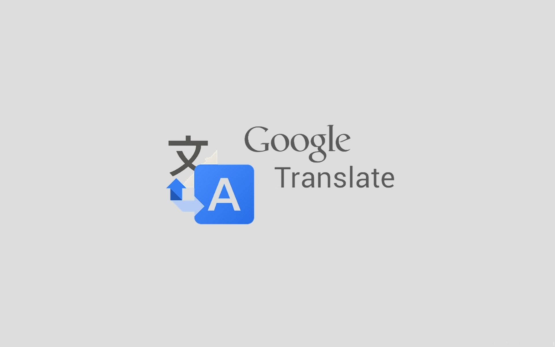 Googletranslate Logotyp Grå Wallpaper