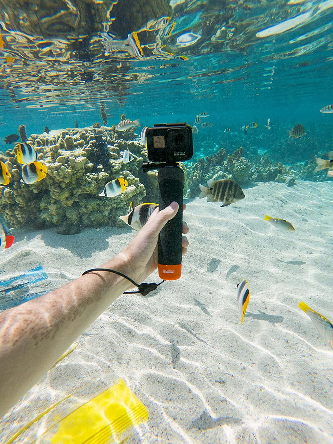 Capture life's most exciting moments with GoPro