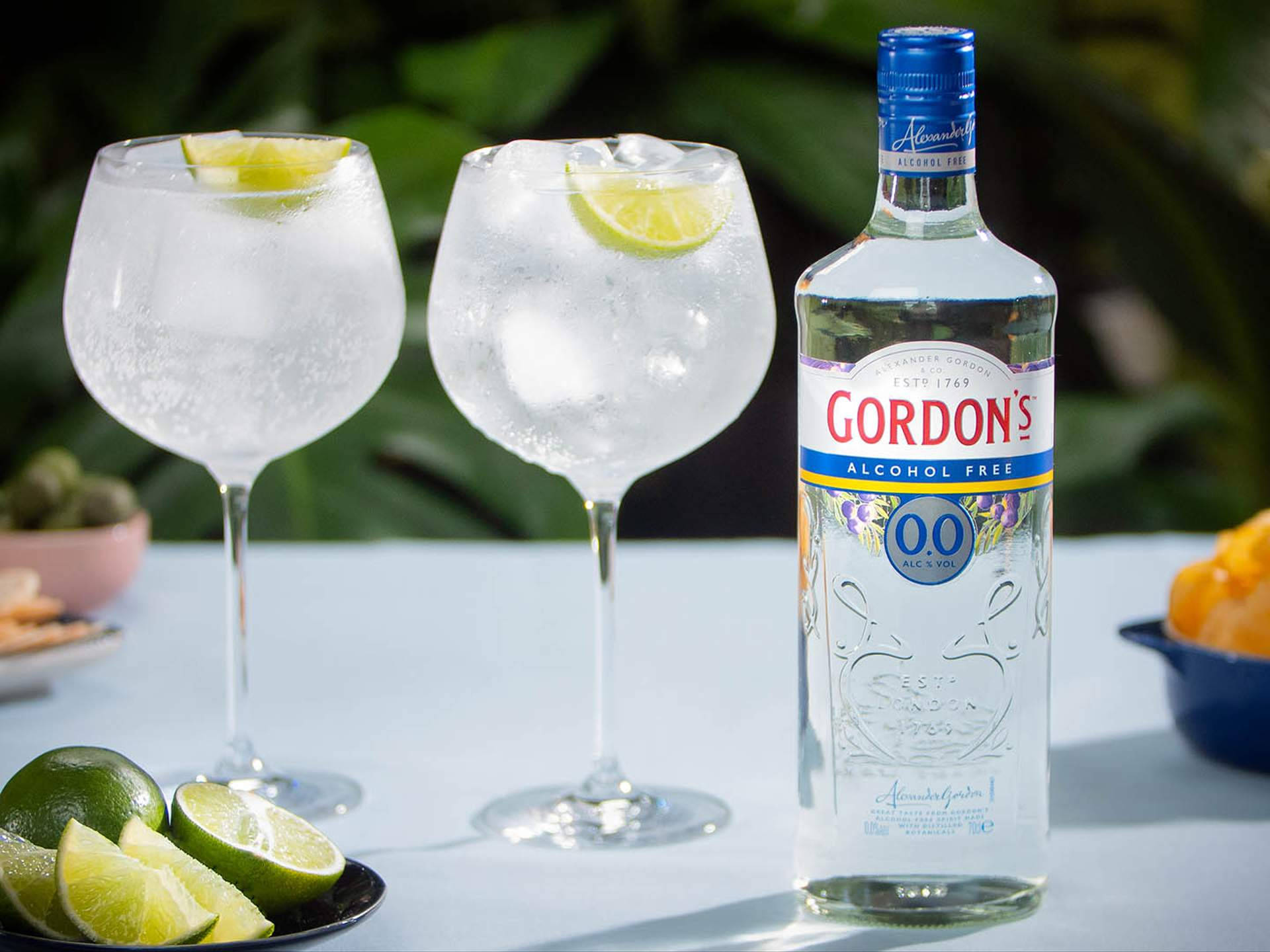 Gordon's Alcohol-free Gin Bottle Wallpaper