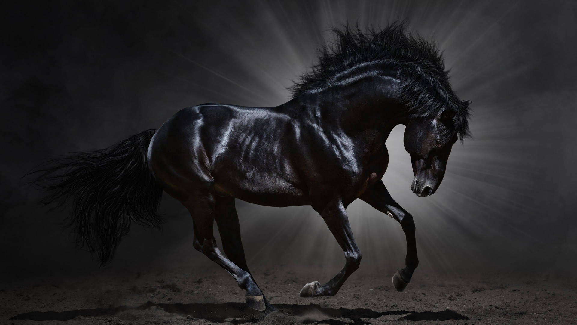 Gorgeous Black Running Horse Wallpaper