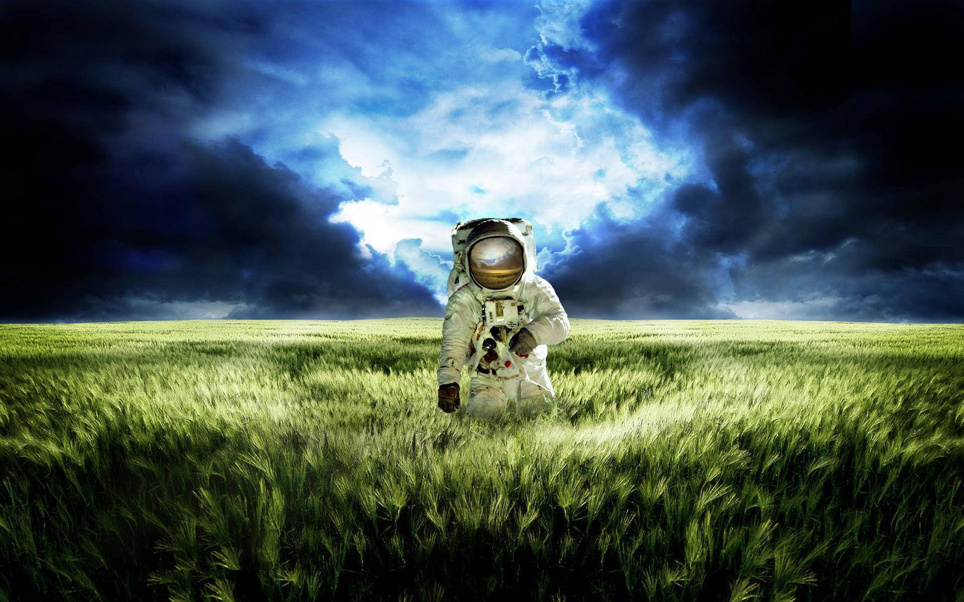 Gorgeous Photo Of Spaceman Strolling Across Field Wallpaper