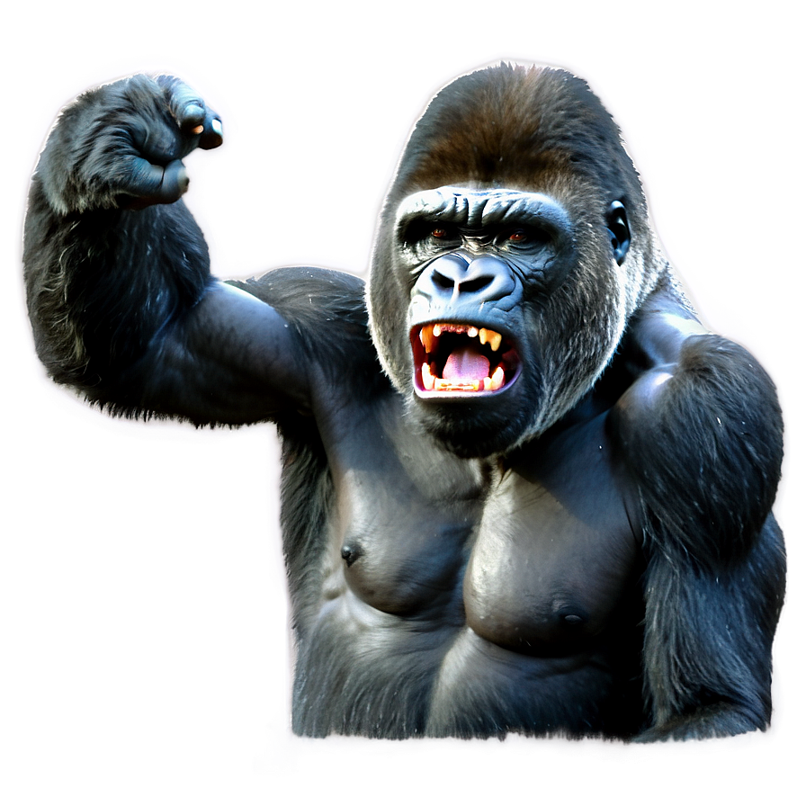 Gorilla Anger Expression Png Tbc71 PNG