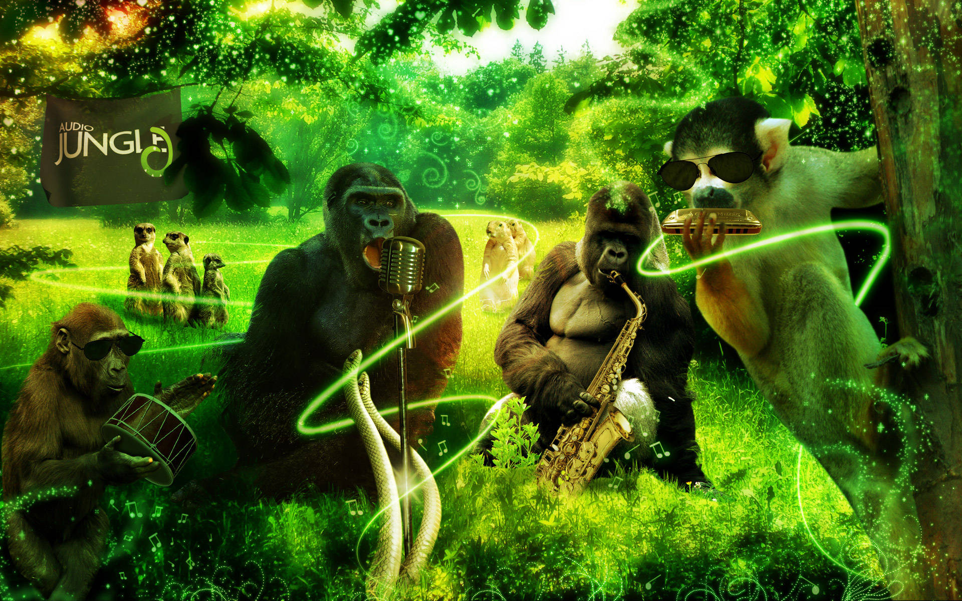 Ungruppo Di Gorilla Che Suona Musica Nella Giungla Sfondo