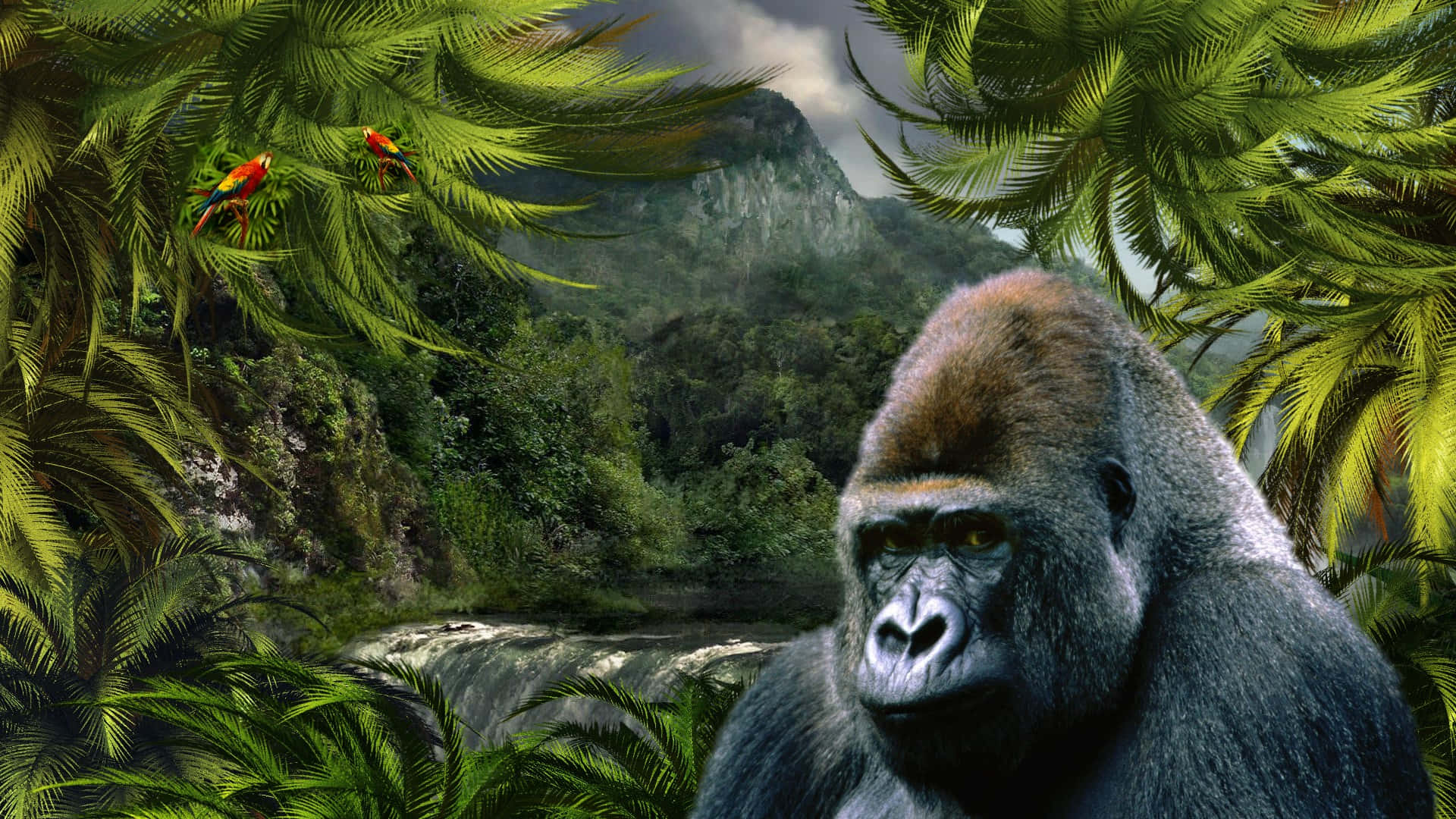 Gorilla Background
