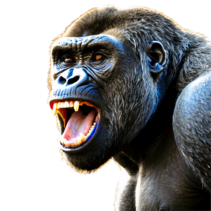 Gorilla In Rage Png Rkt57 PNG