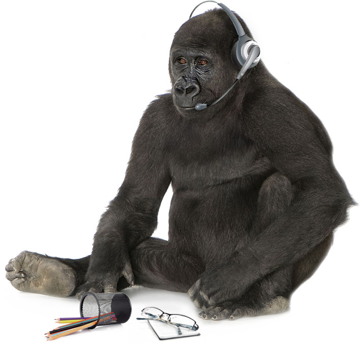 Gorilla Listening Music Headphones PNG