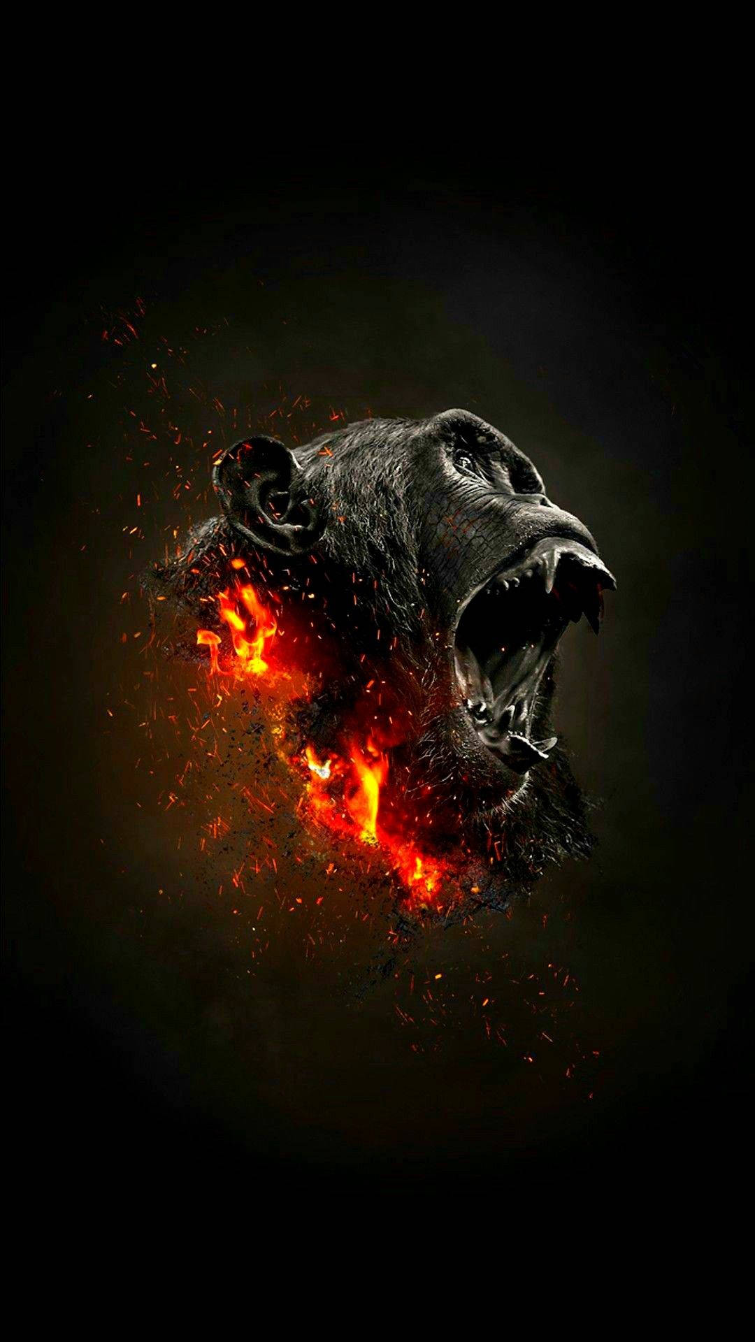Gorilla's Head In Blazing Fire Wallpaper