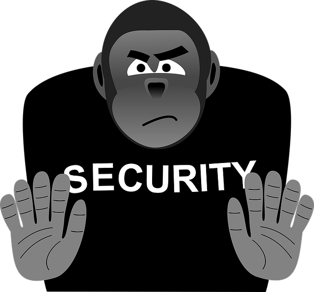 Gorilla Security Graphic PNG