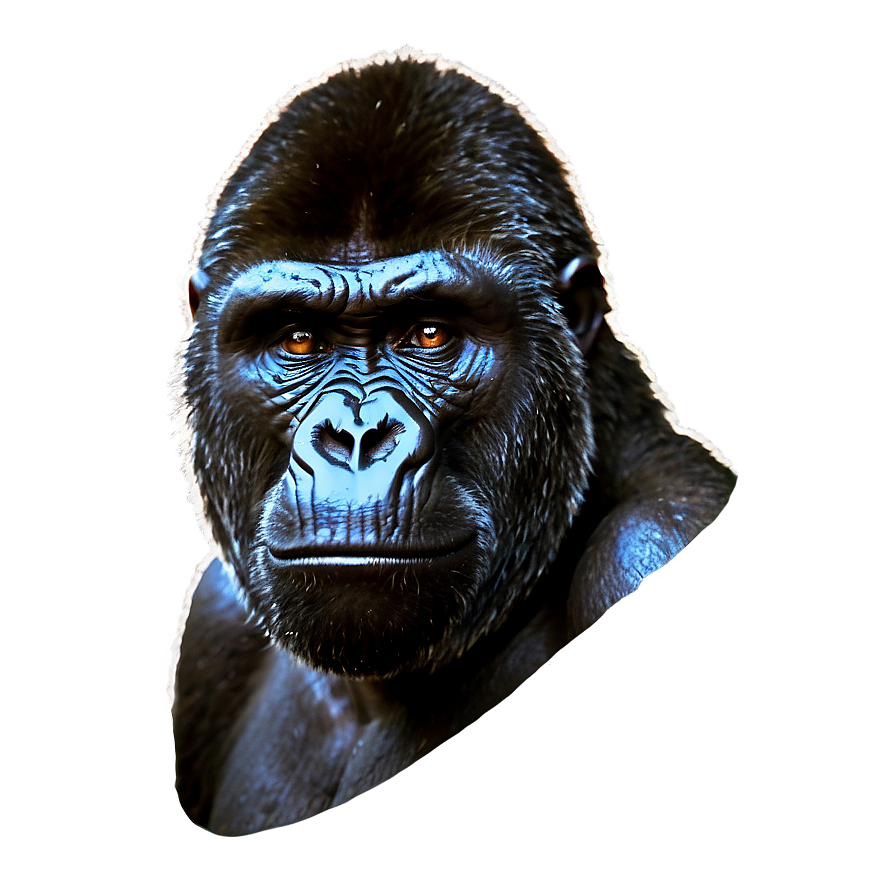 Gorilla With Angry Eyes Png 29 PNG