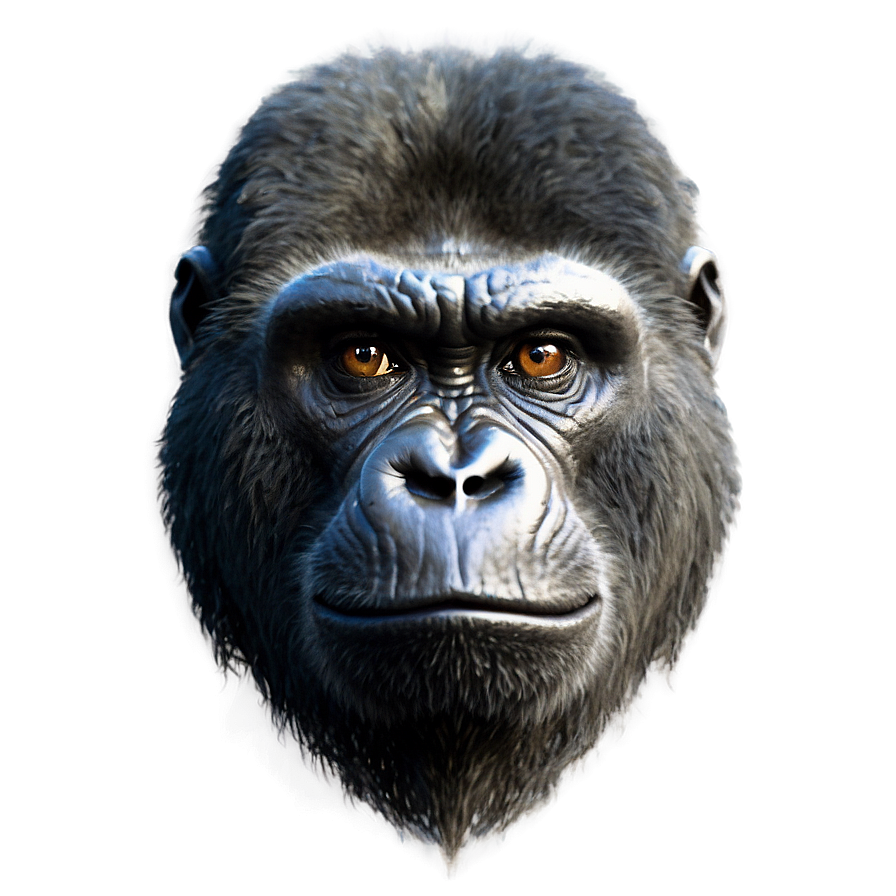 Gorilla With Angry Eyes Png Opv43 PNG