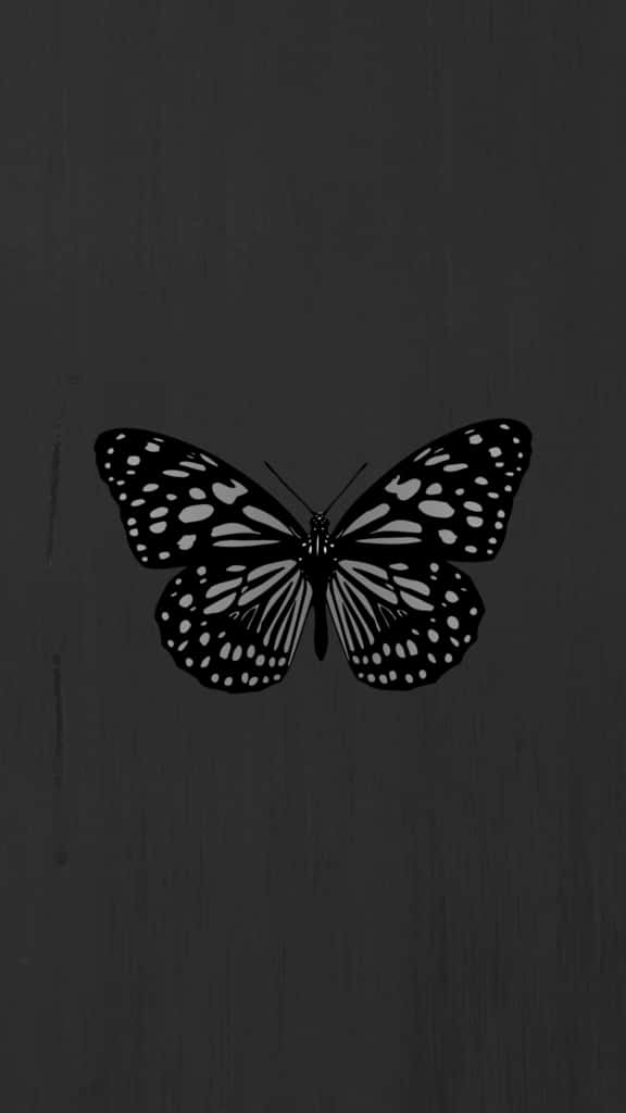 Aufeinem Schwarzen Hintergrund Ist Ein Schmetterling Zu Sehen. Wallpaper