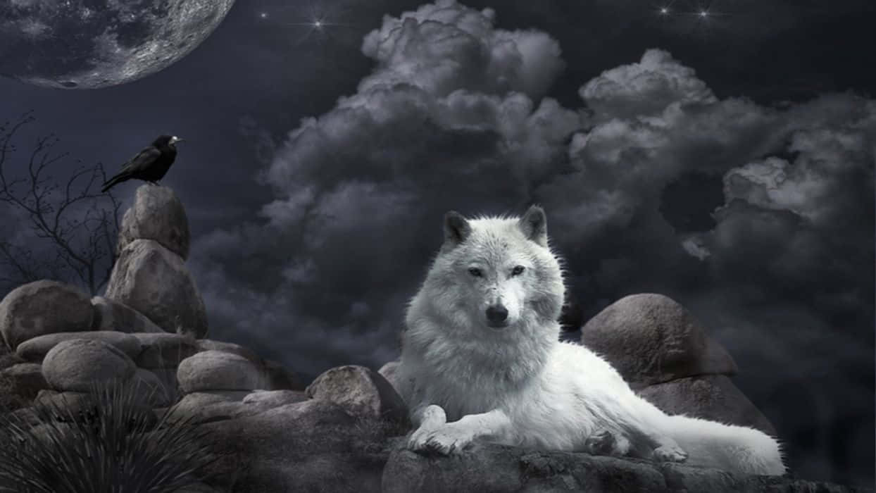 Wolfim Mondschein