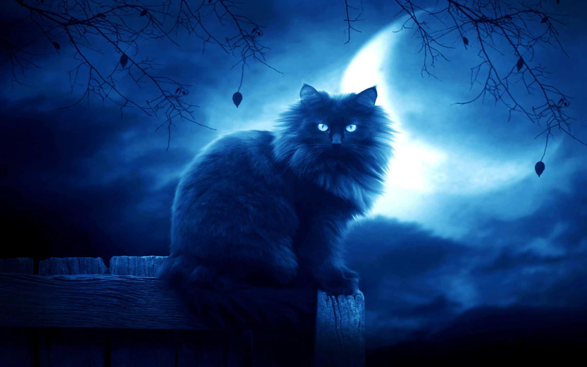 Gothic Aesthetic Blue Cat Background