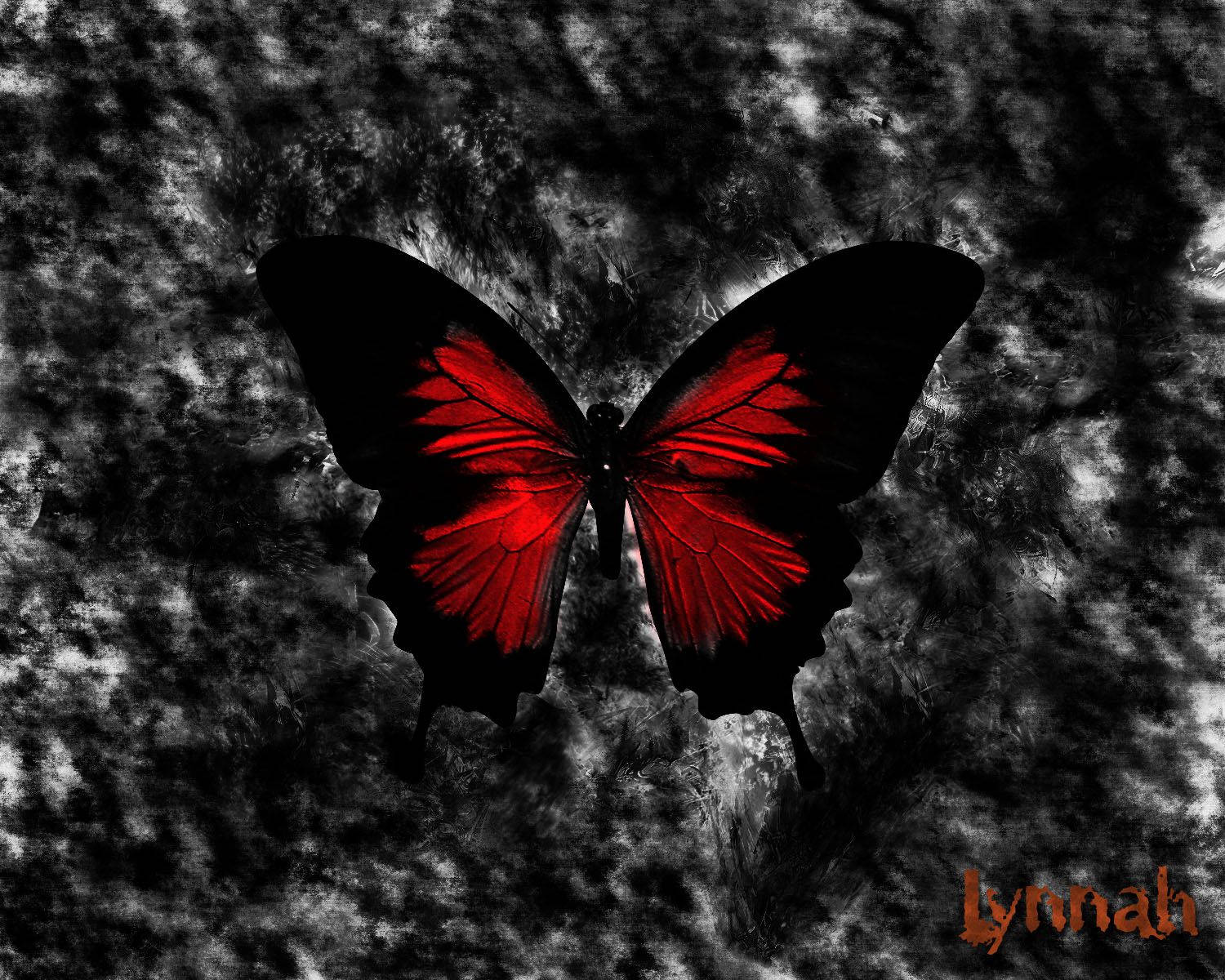 A lone black and red butterfly soaring through the sky Wallpaper