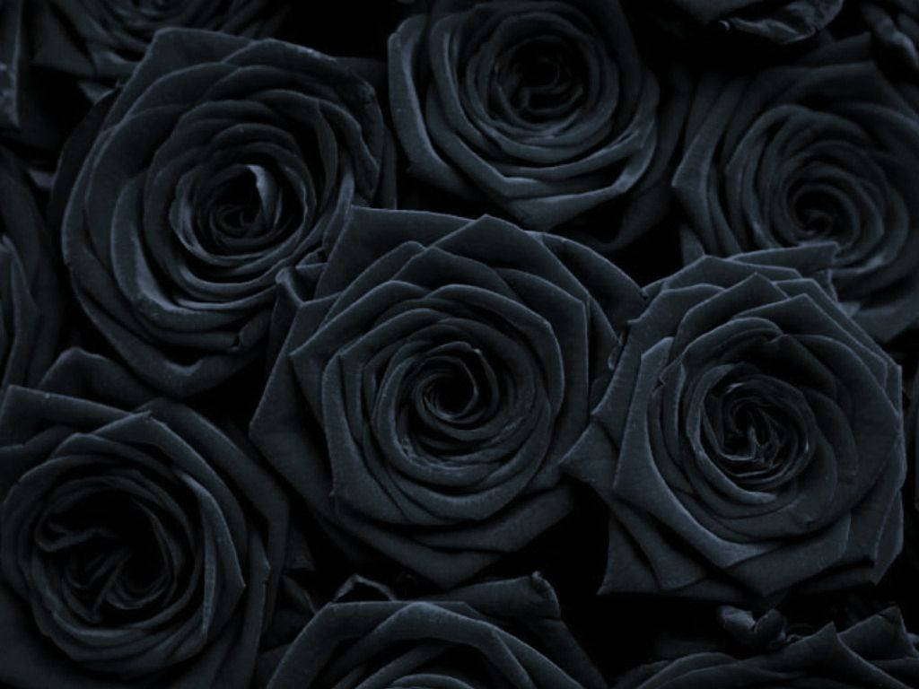 Gothic Black Roses Bouquet Wallpaper