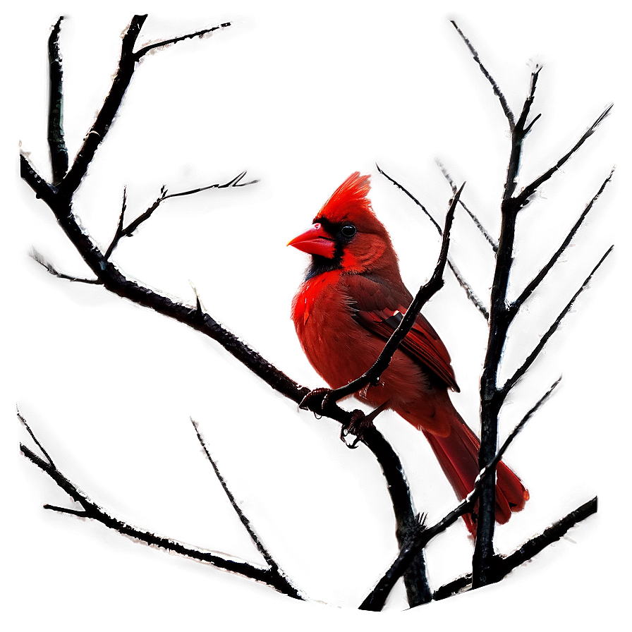 Gothic Cardinal Image Png 94 PNG