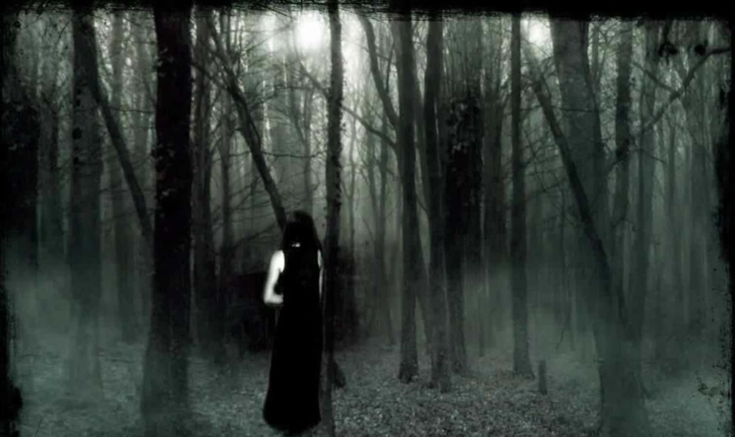 En kvinde i en mørk skov med en lommelygte Wallpaper