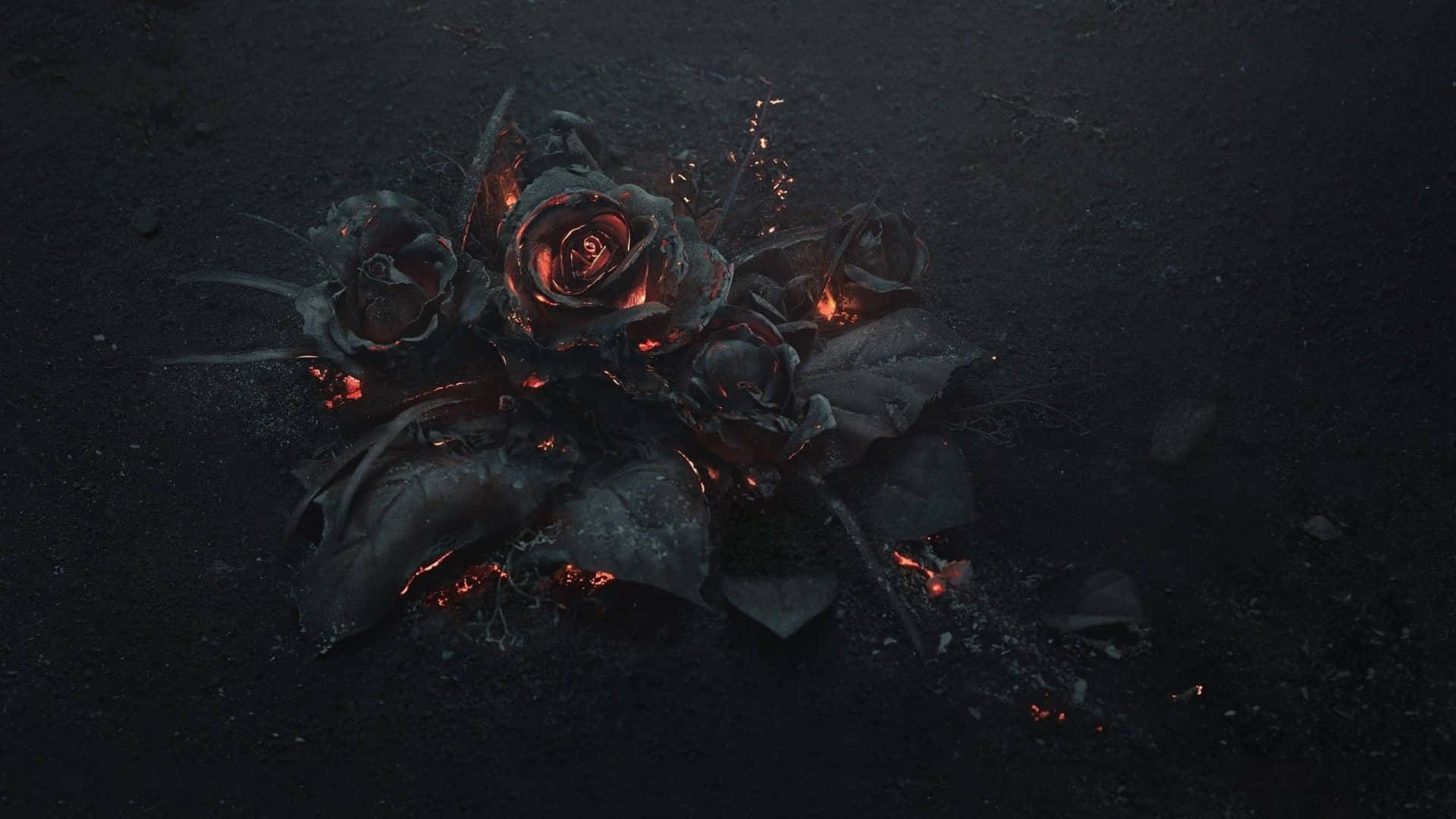 Gothic Ember Roses Dark Background Wallpaper