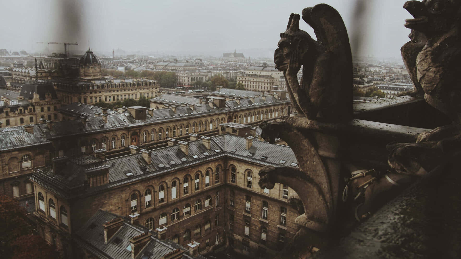 Gothic_ Gargoyle_ Overlooking_ Cityscape Wallpaper