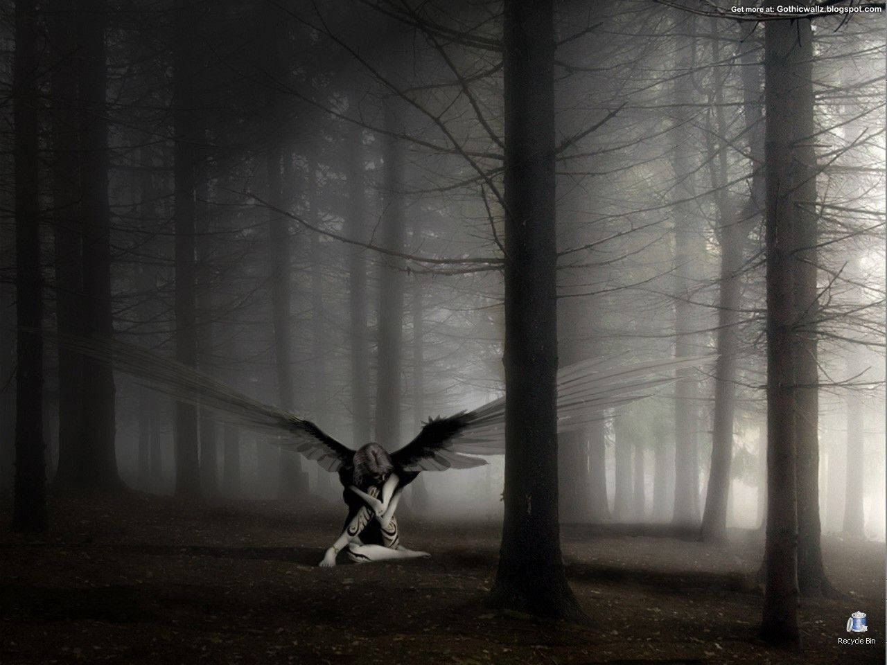 An angelic figure stands amongst the trees in a mysterious gothic forest. Wallpaper