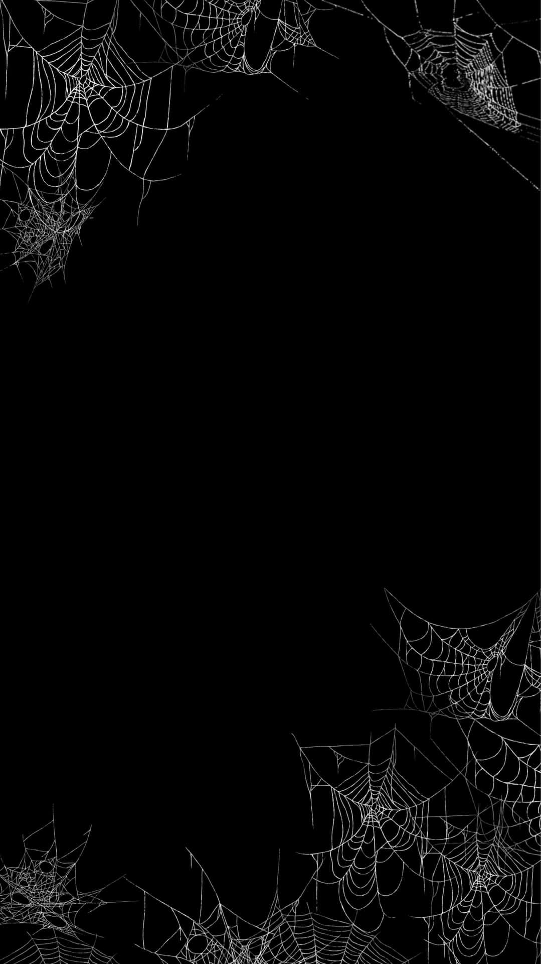 White Spider Webs Gothic Iphone Wallpaper