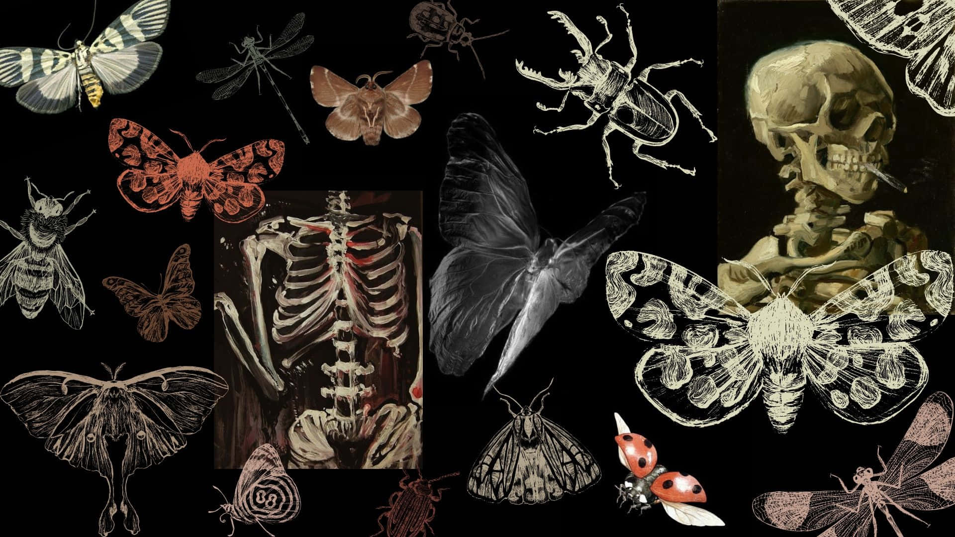 Gothic_ Nature_and_ Skeleton_ Collage Wallpaper