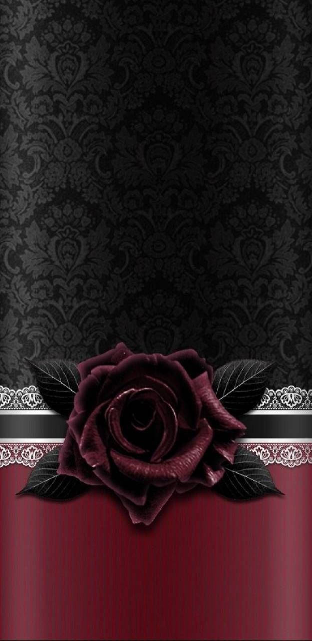 En sort og rød rose på et sort baggrund Wallpaper