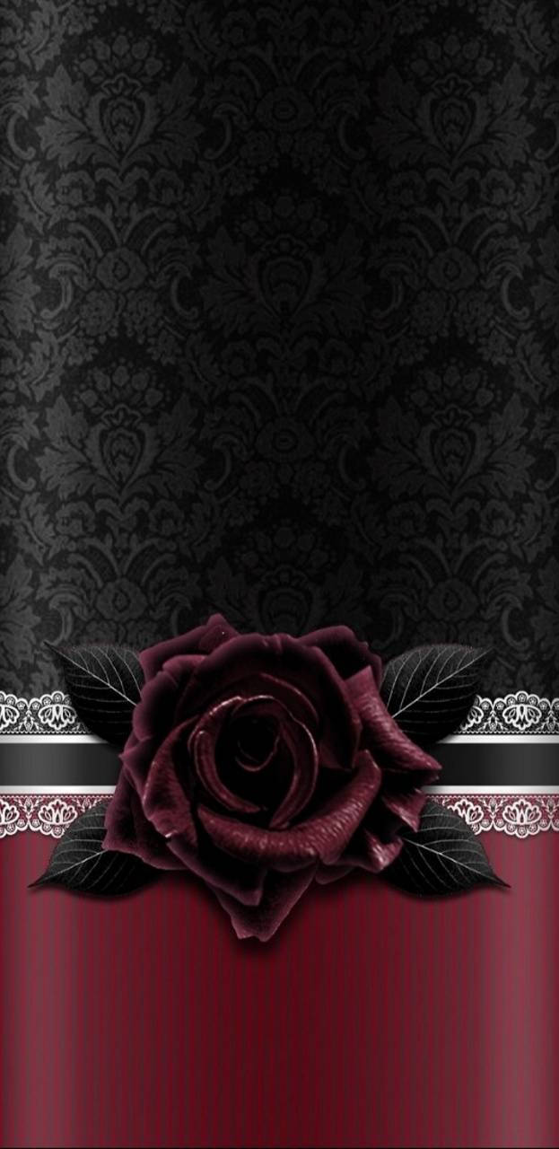 Eineschwarze Und Rote Rose Auf Schwarzem Hintergrund Wallpaper