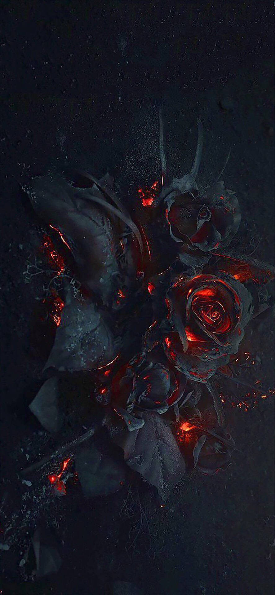 A Black And Red Rose With Flames On It Wallpaper