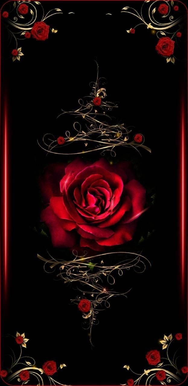 Unfondo Negro Con Una Rosa Roja Fondo de pantalla