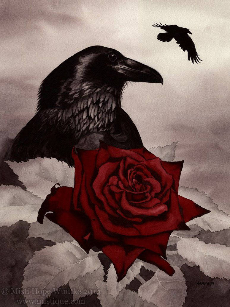 Gothic Raven And Rose Aesthetic Wallpaper