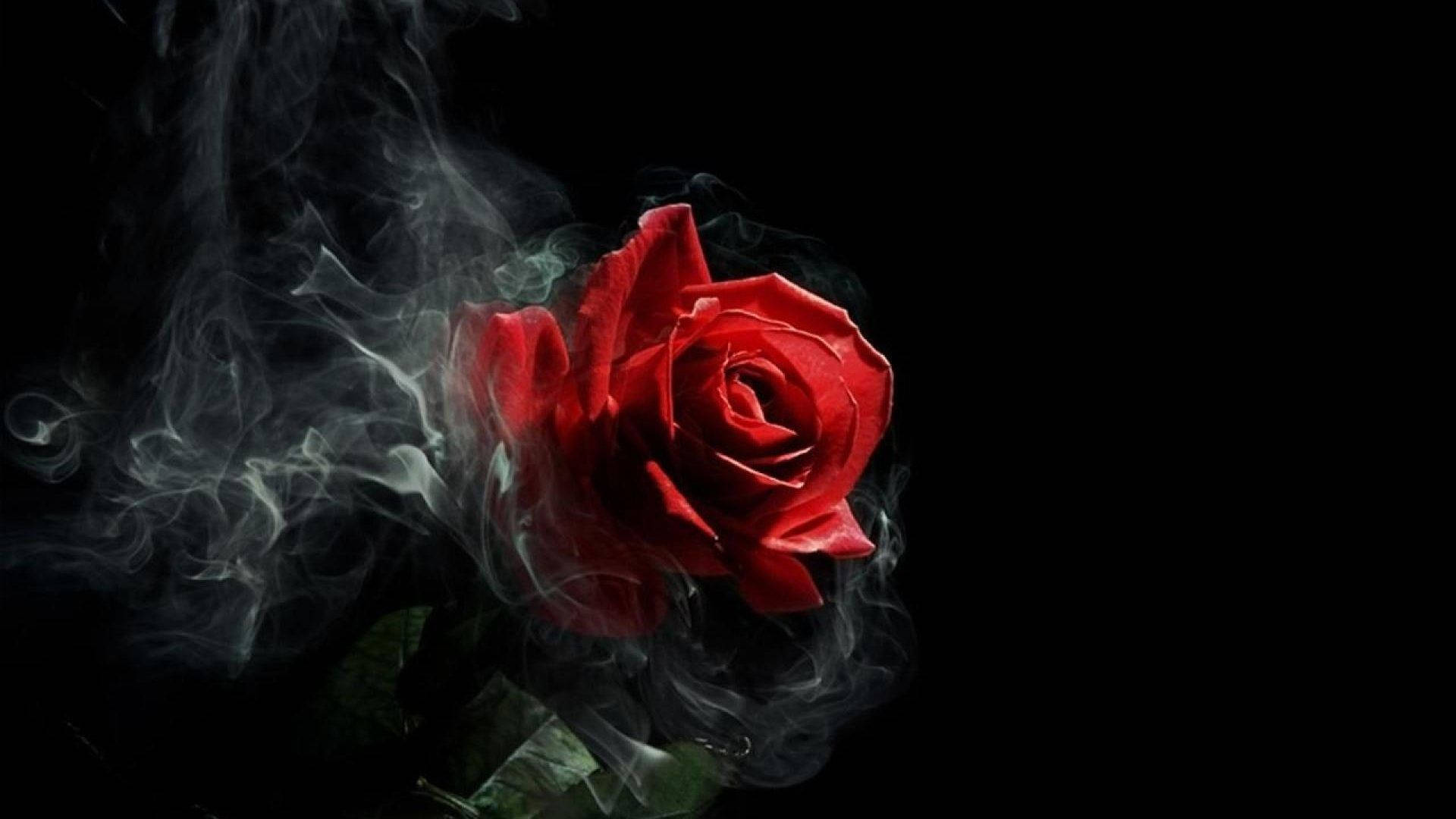 Gothic Smoke Rose Aesthetic