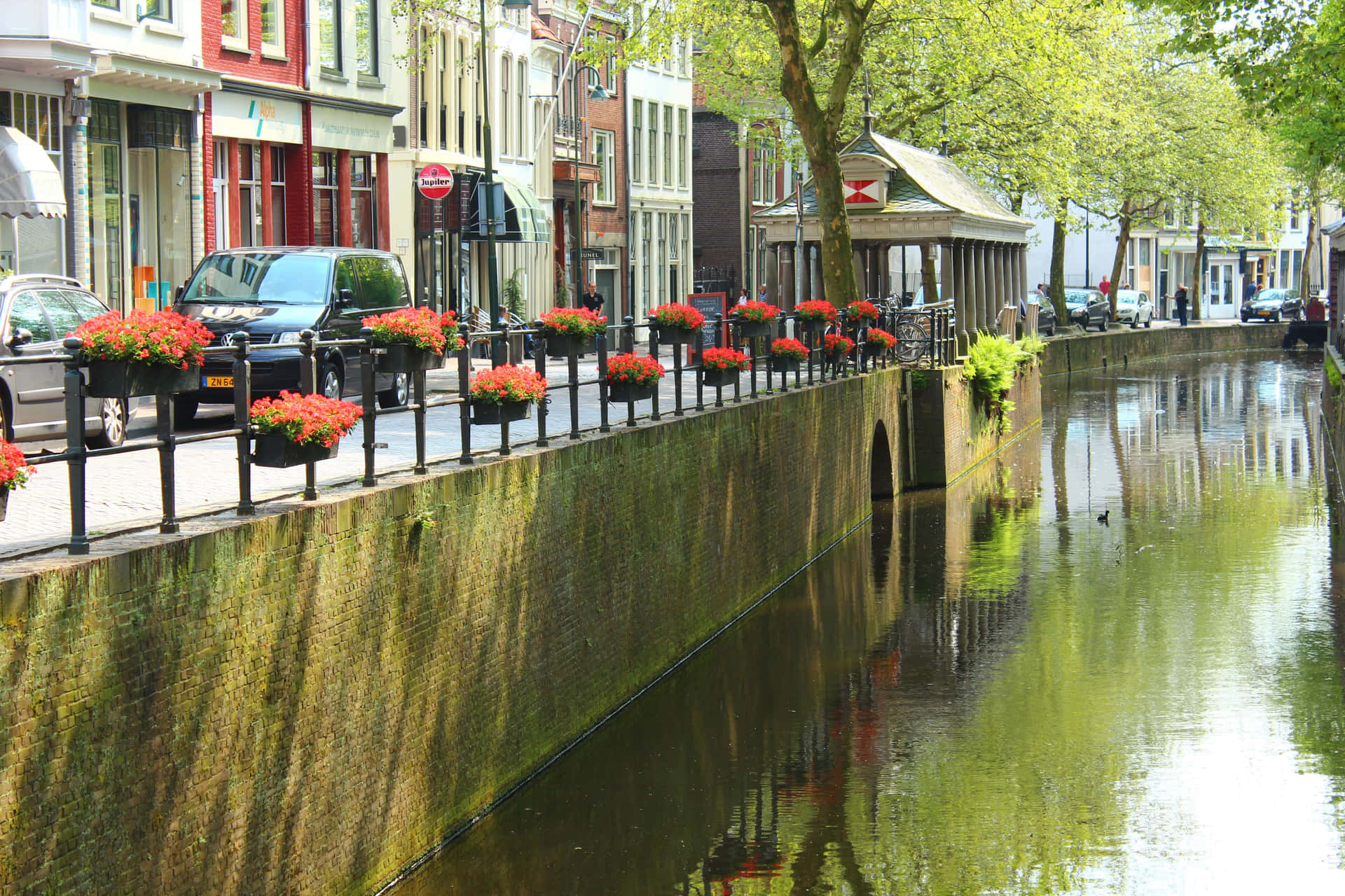Gouda Canal Floral Beauty Wallpaper