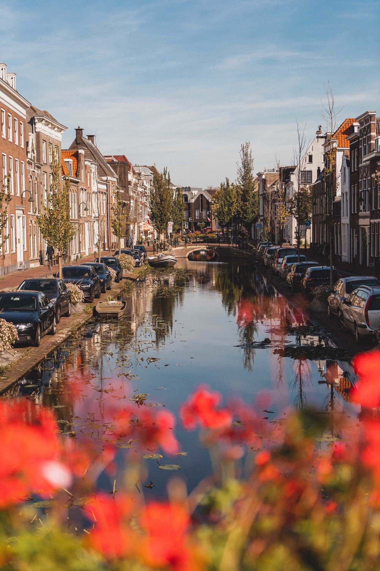 Gouda Canal Viewwith Flowers Wallpaper