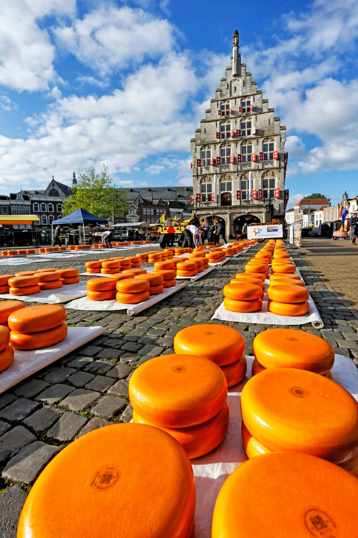 Download Gouda Cheese Market Netherlands Wallpaper | Wallpapers.com