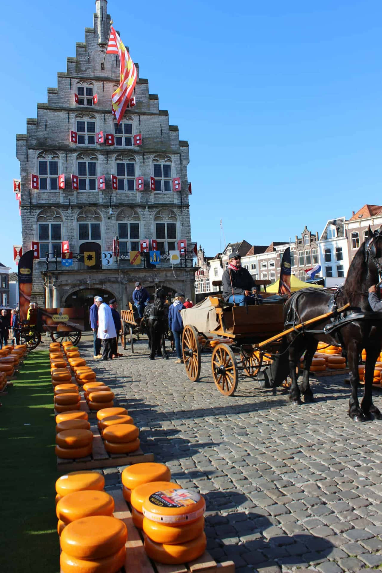 Gouda Cheese Market Netherlands Wallpaper