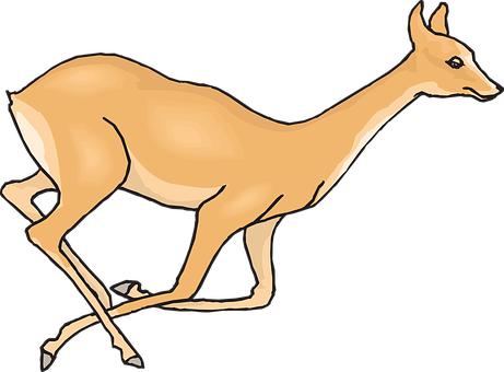 Graceful Deer Illustration PNG