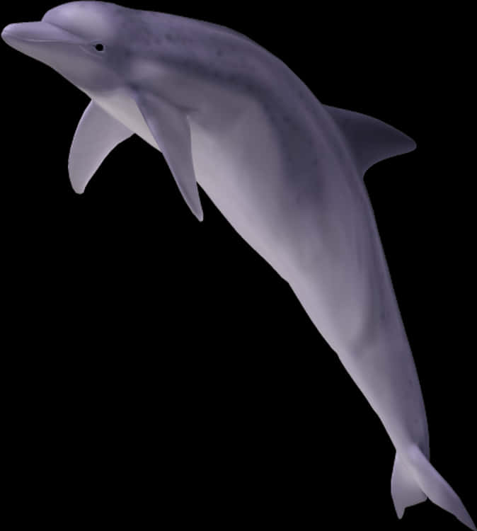 Graceful Dolphin Illustration PNG