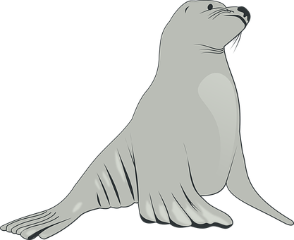 Graceful Seal Illustration PNG