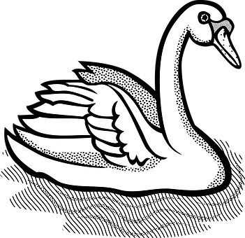 Graceful Swan Illustration PNG