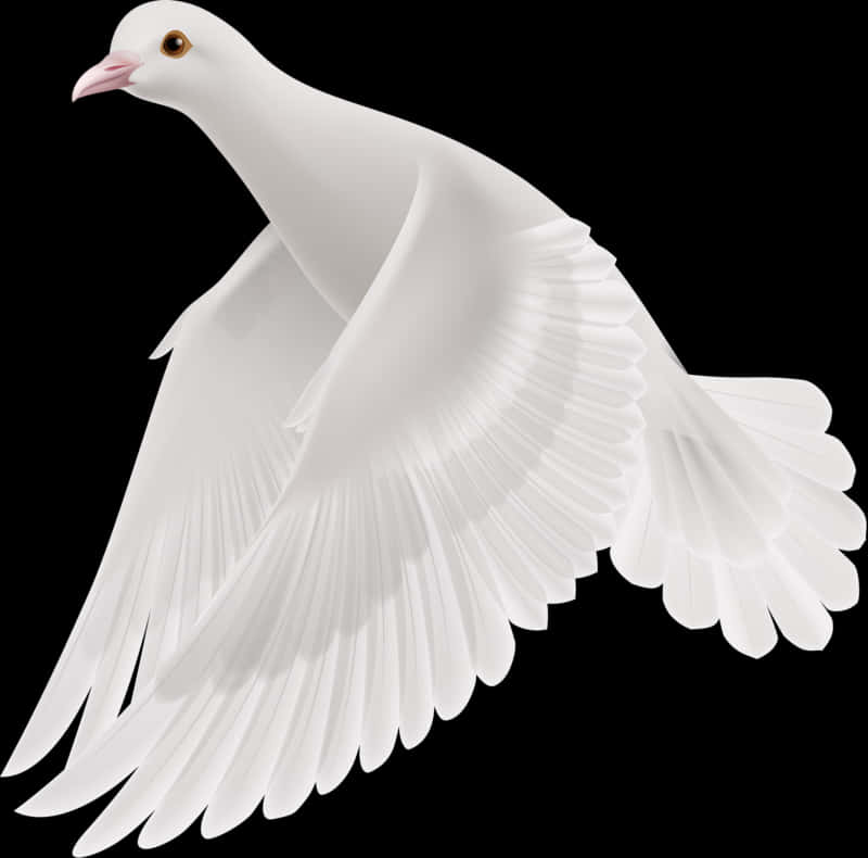 Graceful White Pigeon In Flight PNG