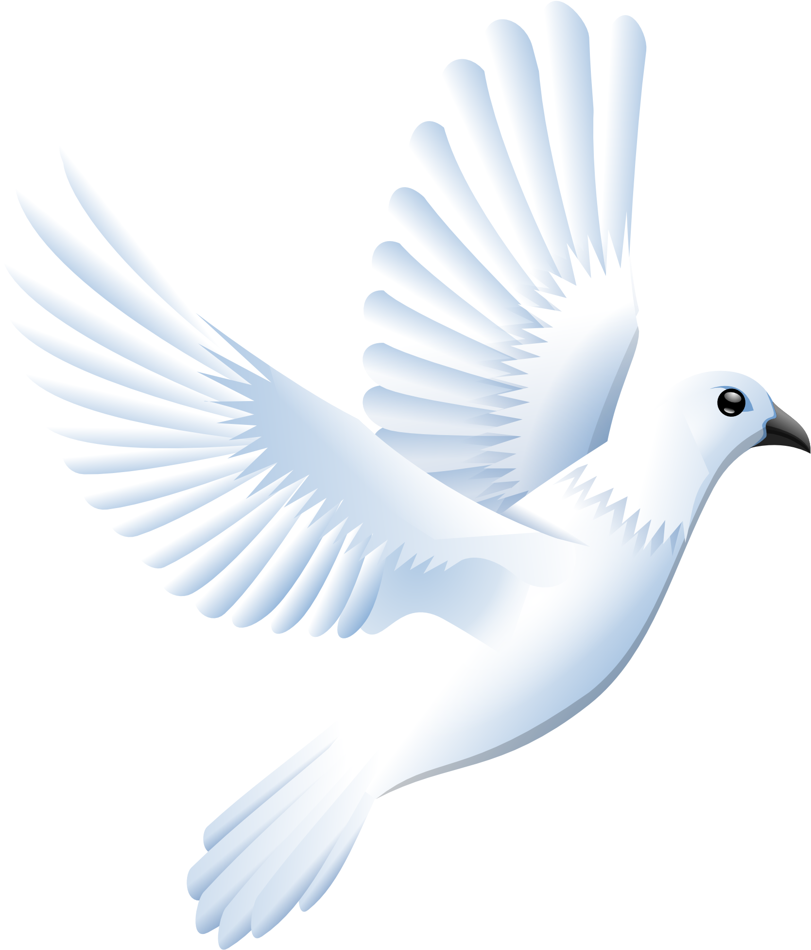 Graceful White Pigeon In Flight PNG