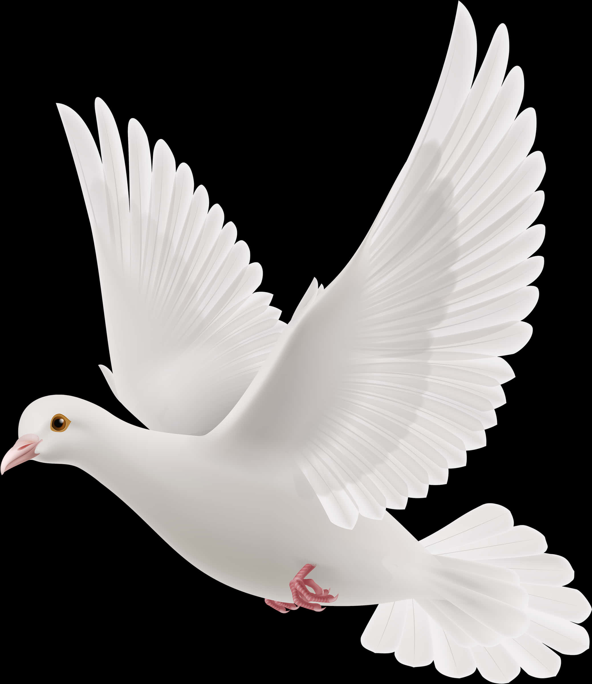 Graceful White Pigeon In Flight PNG
