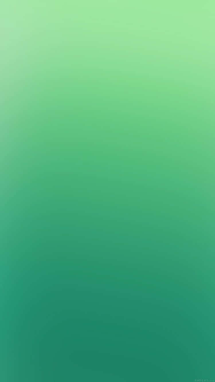 Lime Green Gradient Iphone Wallpaper