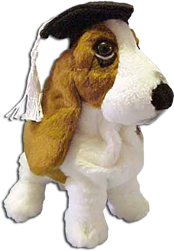 Graduate Basset Hound Plush Toy PNG